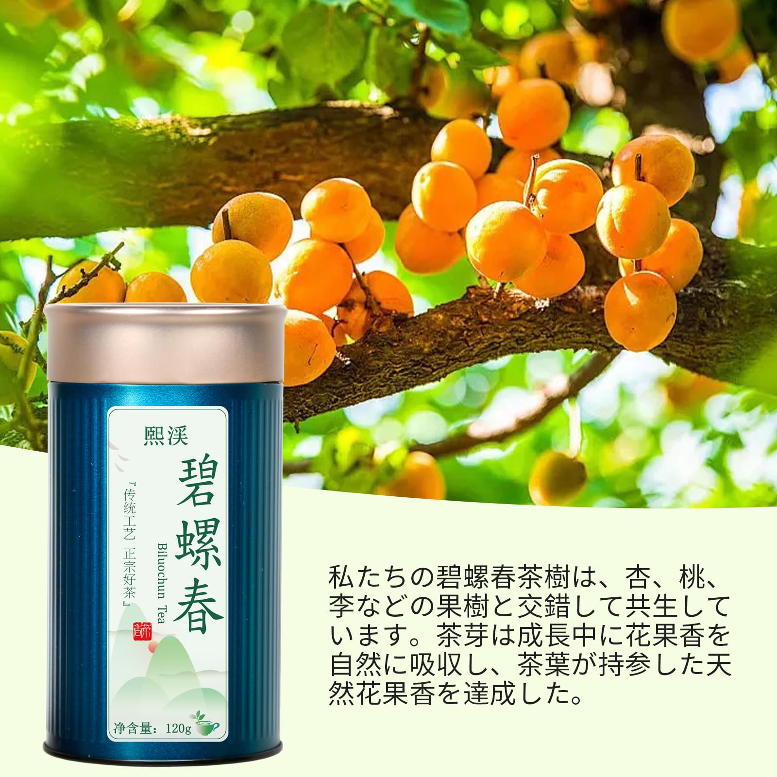 Amazon.co.jp: 煕渓 绿茶 碧螺春茶 碧螺春 绿茶 無農薬栽培 明前摘み